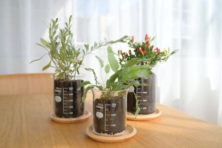 実験用ビーカーが植物用の鉢に！「ビーカーの穴utf-8