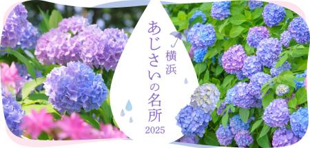 横浜観光情報ウェブサイト「横浜 あじさいの名所2025