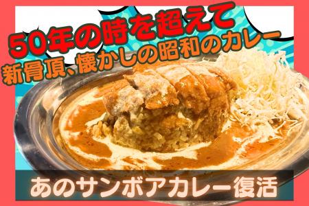 サクセス！復刻決定！！シンサンボアカレー〈復刻版〉