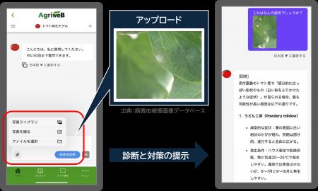 病害虫画像診断が可能に！営農指導員も使う「栽培アシ