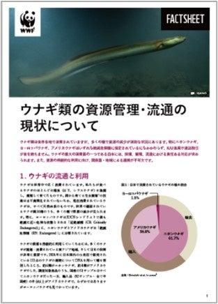 WWFジャパンと中央大学、ウナギの取引と流通の最新動