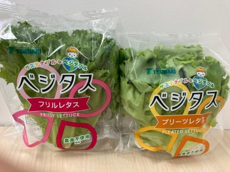 （株）ツバキベジムーブ、（株）Green Factory TFKと