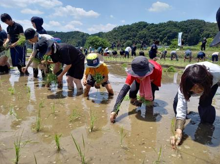 東京・八王子の日本酒醸造所「東京八王子酒造」、「学