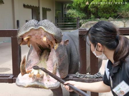 いのちを見つめるきっかけに。「歯と口の健康週間」に