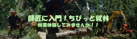 自然×仕事のリアルを体感。”福井市で林業”という新し