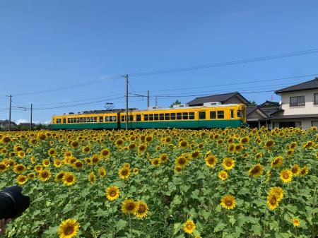 【富山県舟橋村で開催】サンフラワープロジェクト2025