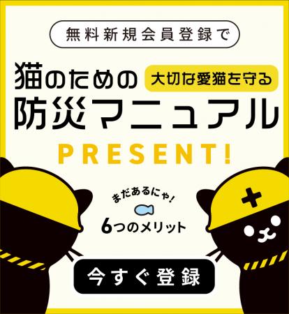 3.11は防災意識を育てる日【猫との防災に関するutf-8