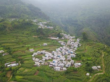 森が減少するヒマラヤを、植林活動で支援する「ヒマラ
