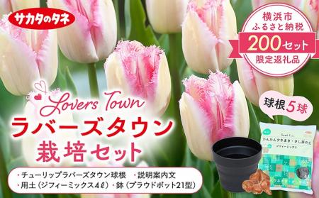 サカタのタネ、横浜市限定チューリップをふるさと納税