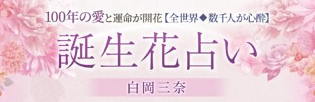 100年の愛と運命が開花【全世界◆数千人が心酔】誕生花