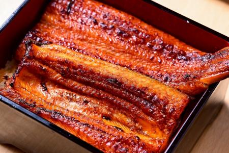 【2025年】土用の丑の日に札幌で鰻を食べるならこれで