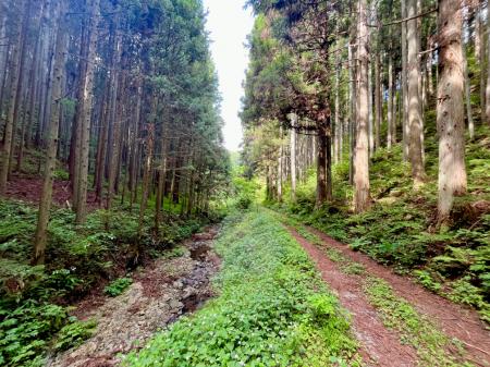 The Coca-Cola Foundation、南三陸町におけるWWFジャ