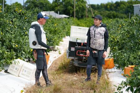 10年で100名の新規就農者を増やし、みかん産地・町を