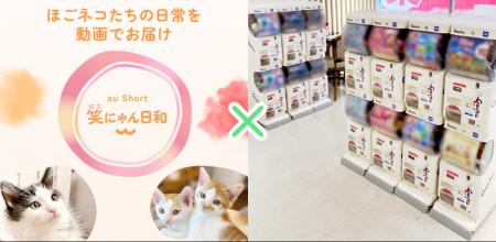 「笑にゃん日和Catchu The Future」共に生きる社会の