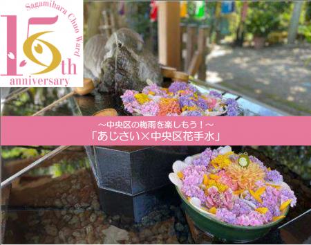 【相模原市】『あじさい×中央区花手水』を実施します
