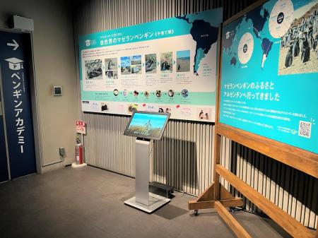 【すみだ水族館】ペンギンたちの換羽のようすがutf-8 【すみだ水族館】ペンギンたちの換羽のようすがutf-8