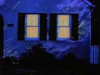 ブライアン・ウィルソンがみた悪夢(米) ブライアン・ウィルソンがみた悪夢(米)