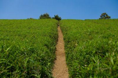 差別をなくすための法改定 (イギリス) 差別をなくすための法改定 (イギリス)