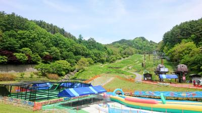 夏限定の巨大昆虫出現&お宝発掘体験!温泉やBBQも楽 夏限定の巨大昆虫出現&お宝発掘体験!温泉やBBQも楽