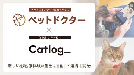 ペットのオンライン診療アプリ「ペットドクター」と猫 ペットのオンライン診療アプリ「ペットドクター」と猫