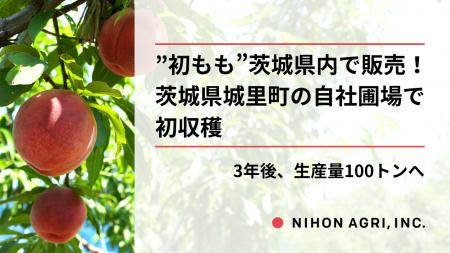 日本農業、“初もも”は茨城県内から販売開始!2024年開 日本農業、“初もも”は茨城県内から販売開始!2024年開