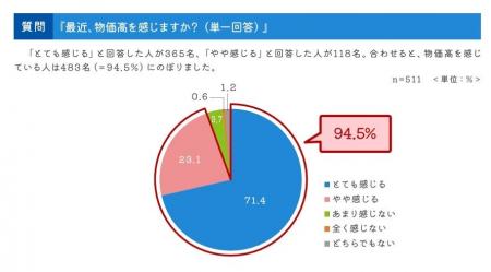 引越経験者に聞いた物価高における生活スタイル調査レ 引越経験者に聞いた物価高における生活スタイル調査レ
