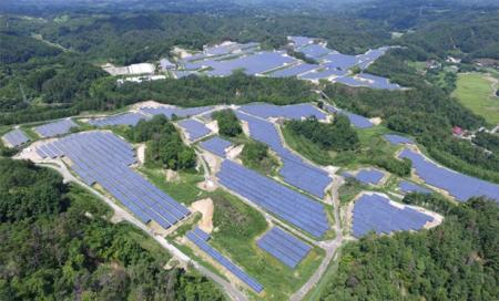 Vena Group、アジア太平洋地域におけるグリーンファン Vena Group、アジア太平洋地域におけるグリーンファン