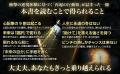 『逆境をはね返す力』--300人のデータ分析から導く“人 『逆境をはね返す力』--300人のデータ分析から導く“人