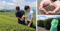 静岡県において茶殻とコーヒー粕によるバイオ炭utf-8 静岡県において茶殻とコーヒー粕によるバイオ炭utf-8