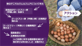 9月1日から「FOOD MADE GOOD アニマルウェルフェア 9月1日から「FOOD MADE GOOD アニマルウェルフェア