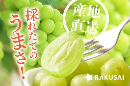 長野県産「至高のシャインマスカット」を産地直送で販 長野県産「至高のシャインマスカット」を産地直送で販