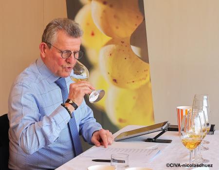 大阪万博が100倍楽しくなる!アルザスワインのトリビ 大阪万博が100倍楽しくなる!アルザスワインのトリビ