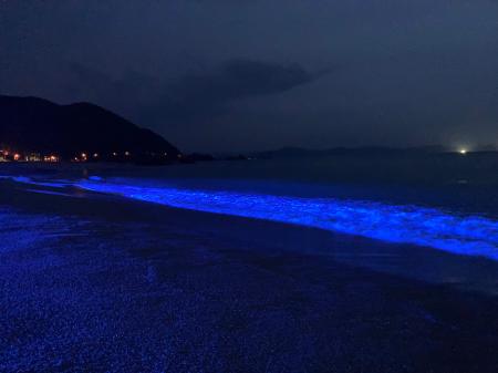 日本海側初開催!若狭みはまの秋夜に溶け込む、光と波 日本海側初開催!若狭みはまの秋夜に溶け込む、光と波