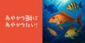 日本さかな専門学校生がプロデュースする釣り大会「海 日本さかな専門学校生がプロデュースする釣り大会「海