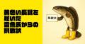 日本さかな専門学校生がプロデュースする釣り大会「海 日本さかな専門学校生がプロデュースする釣り大会「海