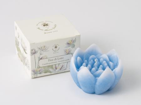 イタリア、フィレンツェから秋の宵をそっと照らす“蓮 イタリア、フィレンツェから秋の宵をそっと照らす“蓮