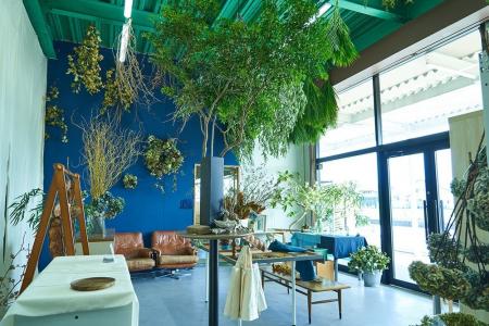 植物のある暮らしを、もっと気軽に。ドライフラワー・ 植物のある暮らしを、もっと気軽に。ドライフラワー・