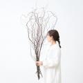 植物のある暮らしを、もっと気軽に。ドライフラワー・ 植物のある暮らしを、もっと気軽に。ドライフラワー・