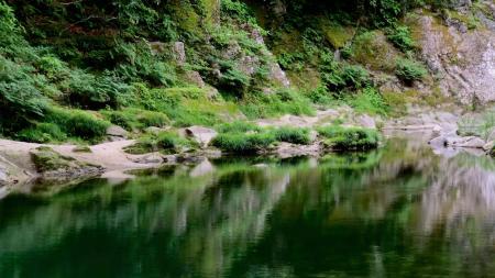 福島・葛尾村発! アーティストインレジデンスで生ま 福島・葛尾村発! アーティストインレジデンスで生ま