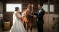 馬と共に過ごす結婚記念!競馬ファンの夢が現実に 馬と共に過ごす結婚記念!競馬ファンの夢が現実に