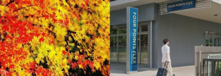 【フォーポイント フレックス by シェラトン】秋限定 【フォーポイント フレックス by シェラトン】秋限定