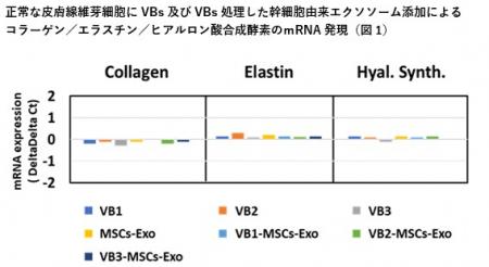 抗ウイルス・抗菌の『VB』&幹細胞由来エクソソutf-8 抗ウイルス・抗菌の『VB』&幹細胞由来エクソソutf-8