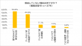 【65歳以上の年金受給者500名に調査】年金以外でもら 【65歳以上の年金受給者500名に調査】年金以外でもら