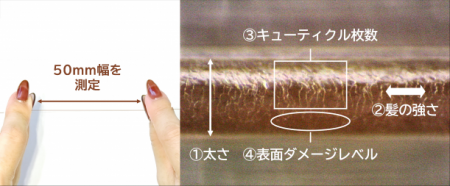 日本初、毛髪キューティクル診断システムを開発utf-8 日本初、毛髪キューティクル診断システムを開発utf-8