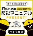 【9/1 防災の日 調査】猫の防災対策、能登地震かutf-8 【9/1 防災の日 調査】猫の防災対策、能登地震かutf-8