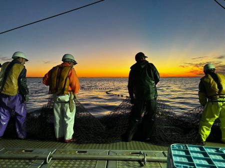 地域漁業の未来をつくる『極寒ぶり』高付加価値化への 地域漁業の未来をつくる『極寒ぶり』高付加価値化への