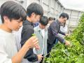 京王聖蹟桜ヶ丘ショッピングセンターで「せいせき秋の 京王聖蹟桜ヶ丘ショッピングセンターで「せいせき秋の