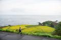 ― 雨と波音に包まれた海岸線、京丹後100kmの物語 ― ― 雨と波音に包まれた海岸線、京丹後100kmの物語 ―