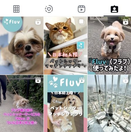「ペットシッターマッチングプラットフォーム」Fluv、 「ペットシッターマッチングプラットフォーム」Fluv、