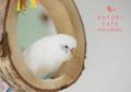 文鳥さんの香り?!ふろしき文鳥ケーキ、ことりカフェ 文鳥さんの香り?!ふろしき文鳥ケーキ、ことりカフェ
